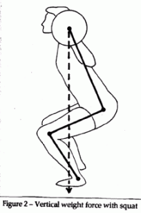 Vertical weight force generated with the barbell squat